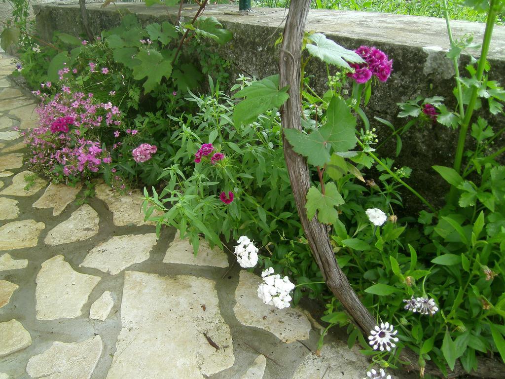 Holiday Home Lorraina Štivan Exterior foto